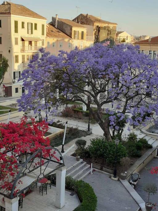 Old Town Corfu Romantic Studio Manto Nymfes Corfu (city) Exterior foto